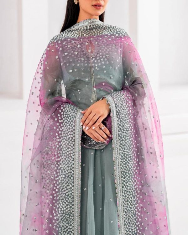 Embroidered Chiffon Maxi – 3PC | Premium Collection 2025 - Image 4