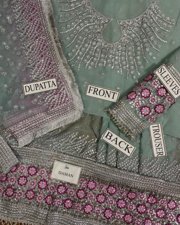 Embroidered Chiffon Maxi – 3PC | Premium Collection 2025 - Image 7