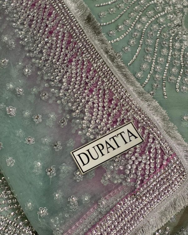 Embroidered Chiffon Maxi – 3PC | Premium Collection 2025 - Image 6