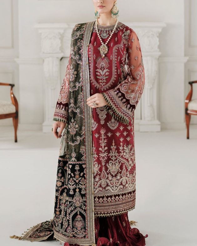 Luxury Formal Collection – 3PC | Net & Organza Edition