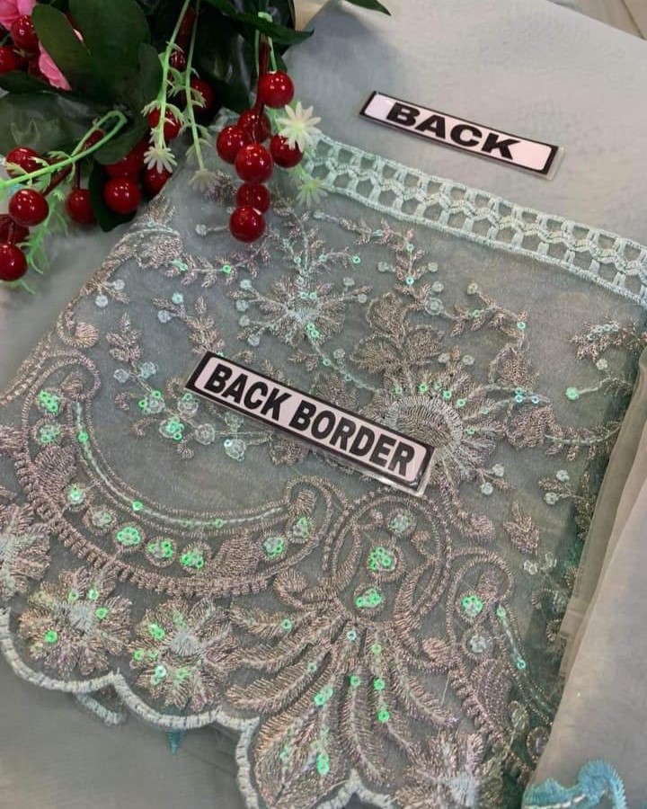 Organza Embroidered Suit - Image 7